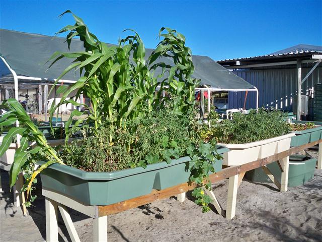 100_0498 (Small).JPG