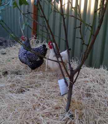 IMG_20150527_163942 (2).jpg