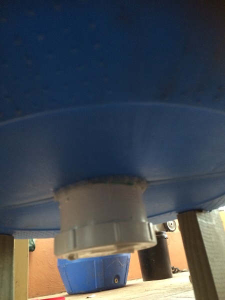 IMG_2353 resized.jpg