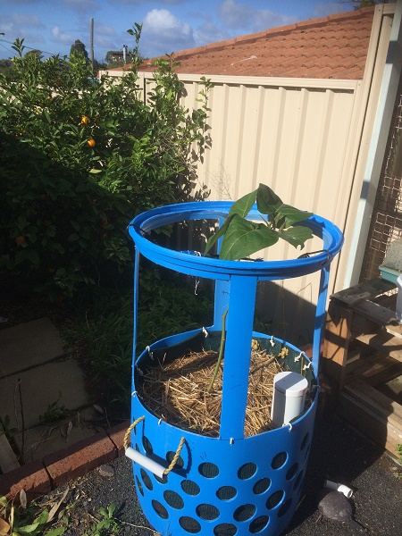 IMG_2291 resized.jpg