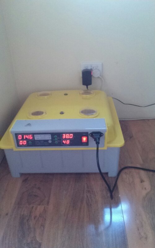 tmp_12784-143797214602301557721654.jpg