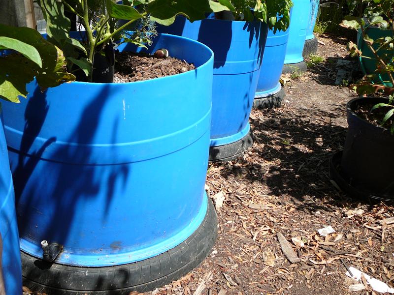 20-02-10 BYF 002 (Medium).jpg