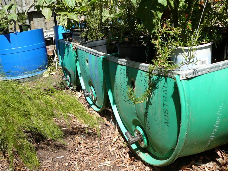 20-02-10 BYF 001 (Medium).jpg