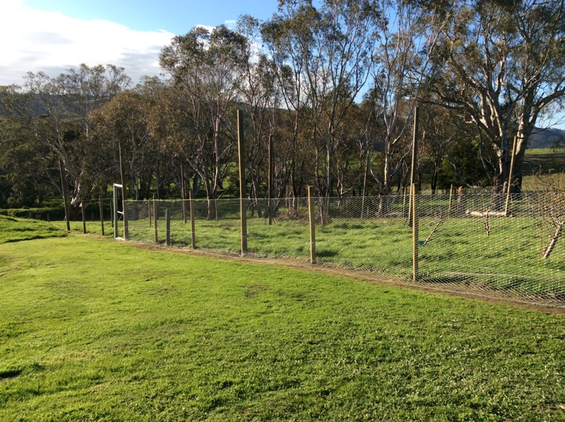 orchard n duck pen2.jpeg