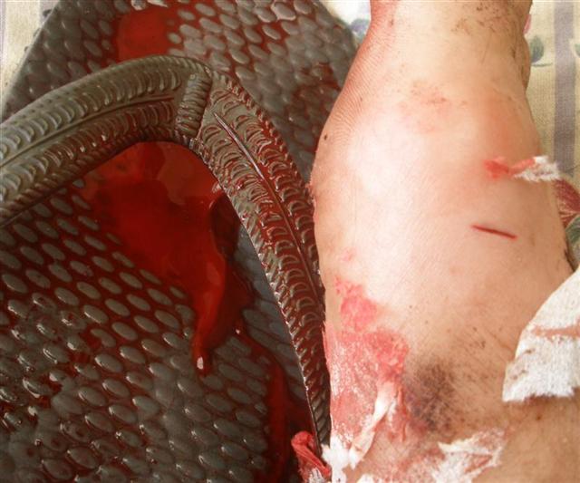 P2200094 (Medium) (Small).JPG