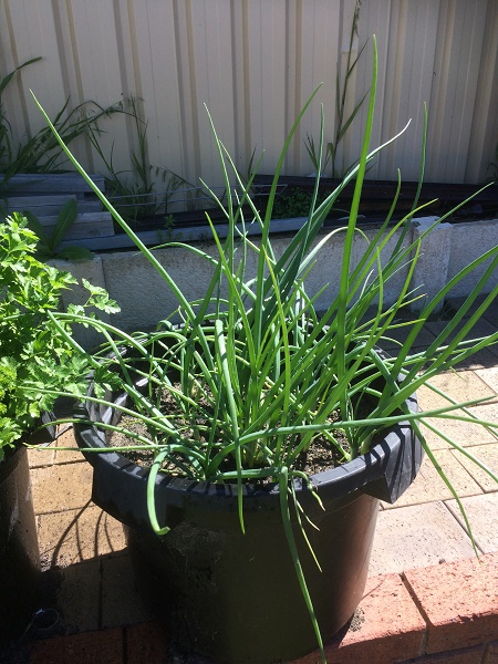 IMG_2486 resized.jpg