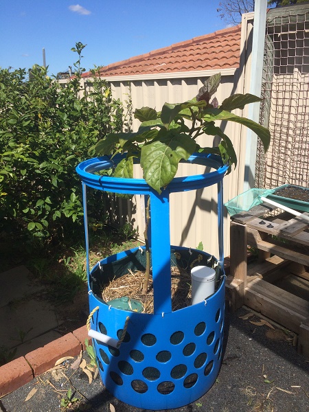 IMG_2482 resized.jpg