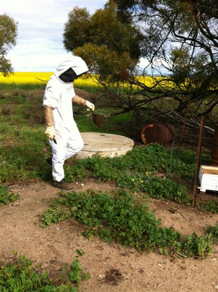 Picture 003 (Medium).jpg