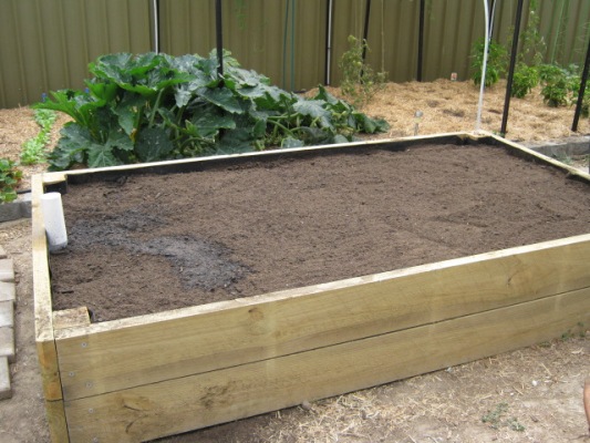 waiting for straw.jpg