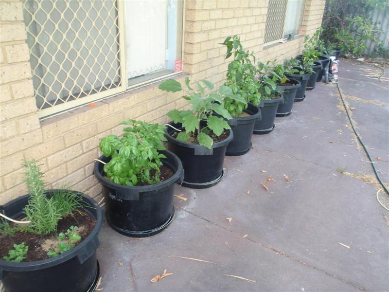 P2210409 (Medium).JPG