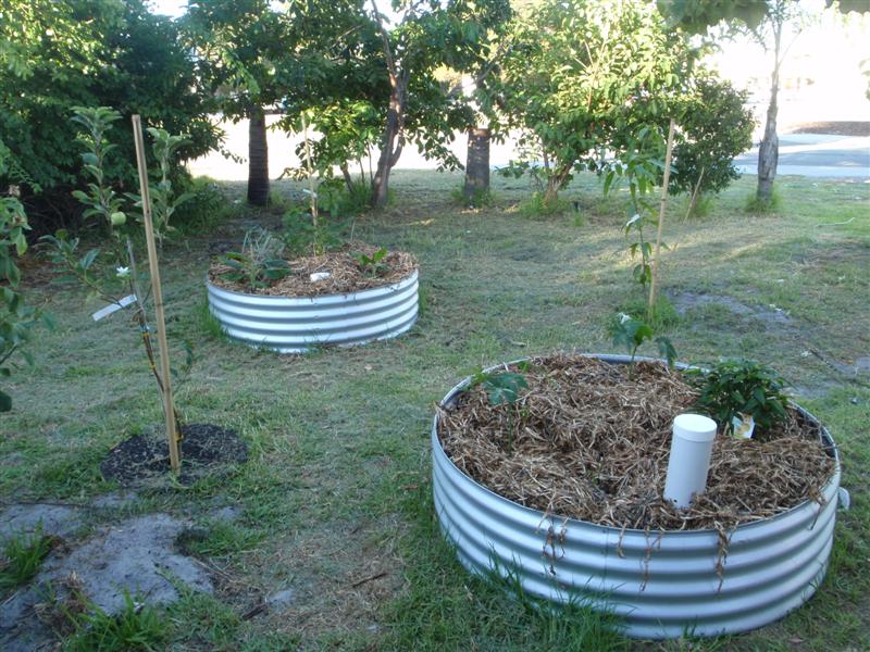 P3100419 (Medium).JPG