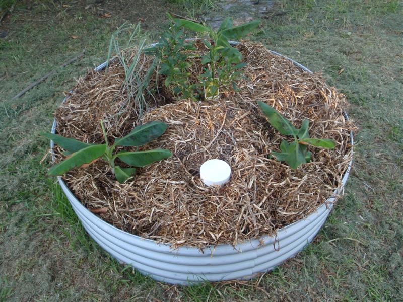 P3100422 (Medium).JPG