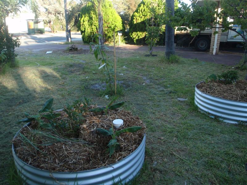 P3100423 (Medium).JPG