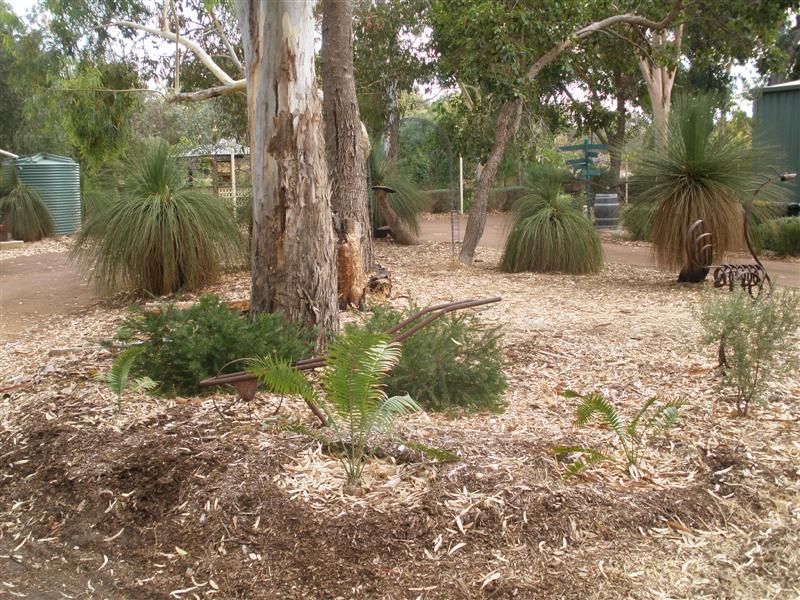 Summer the island garden (Medium).jpg