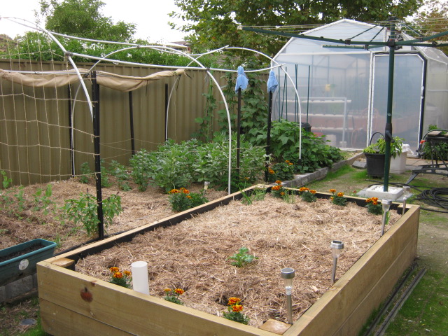 Garden 18.04.10 007.jpg