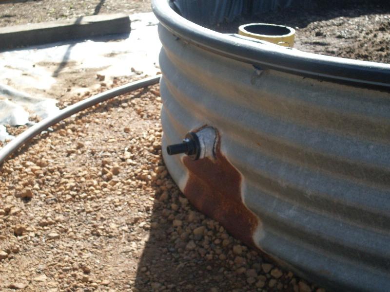 SDC11183 (Medium).JPG