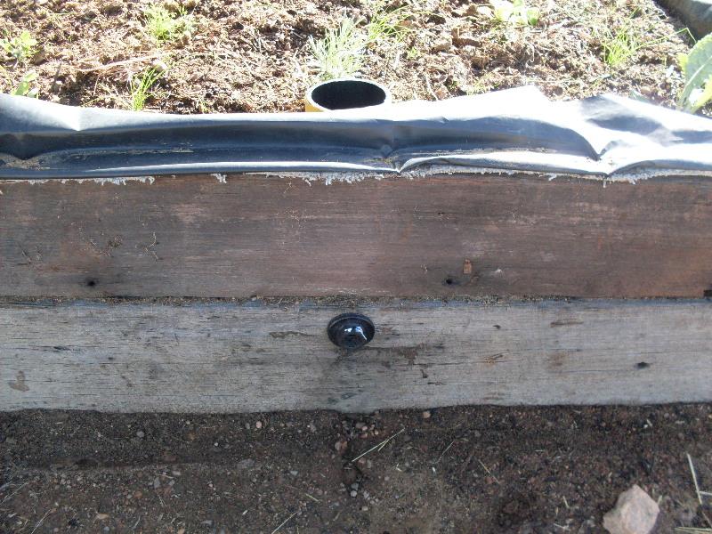 SDC11177 (Medium).JPG