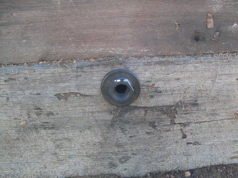 SDC11178 (Medium).JPG