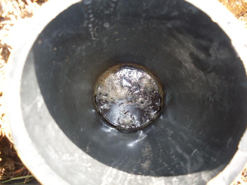 SDC11181 (Medium).JPG