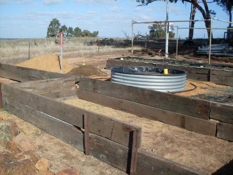 SDC11185 (Medium).JPG