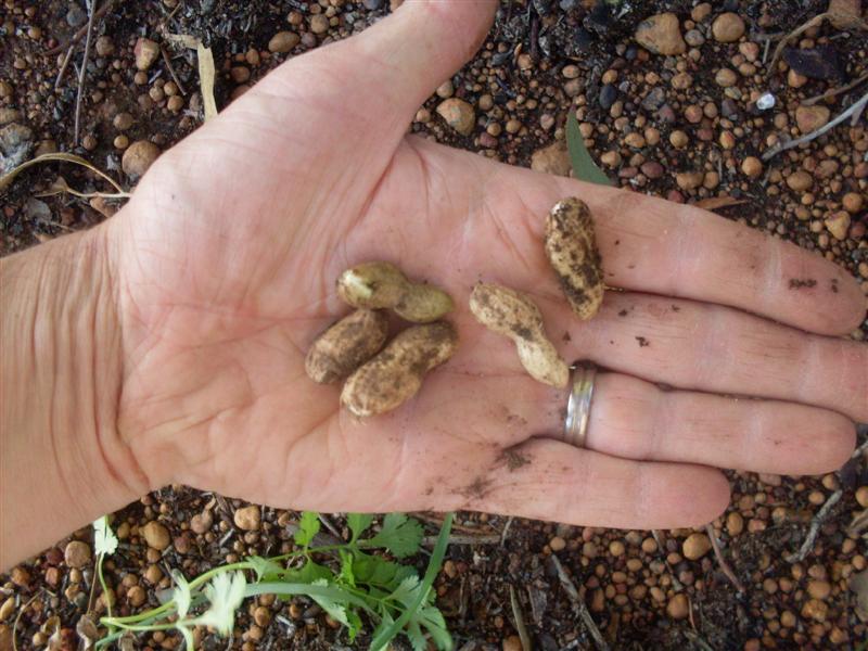 SDC11197 (Medium).JPG