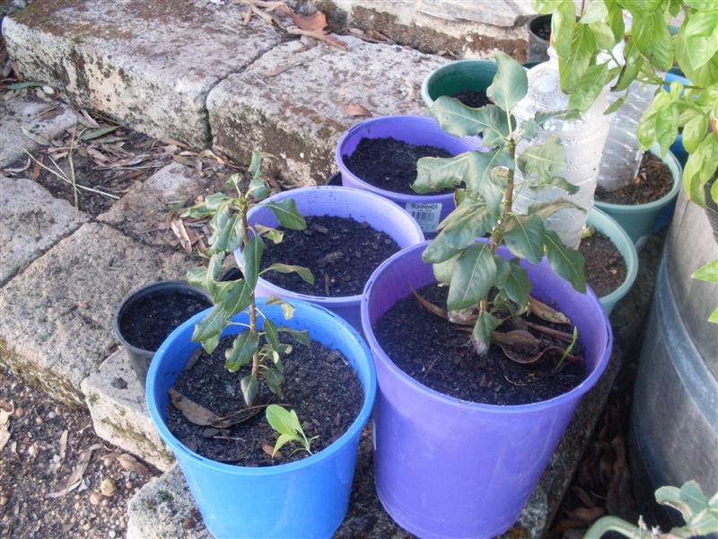 SDC11189 (Medium).JPG