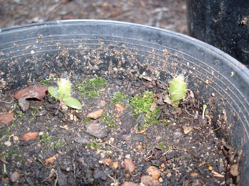 SDC11214 (Medium).JPG