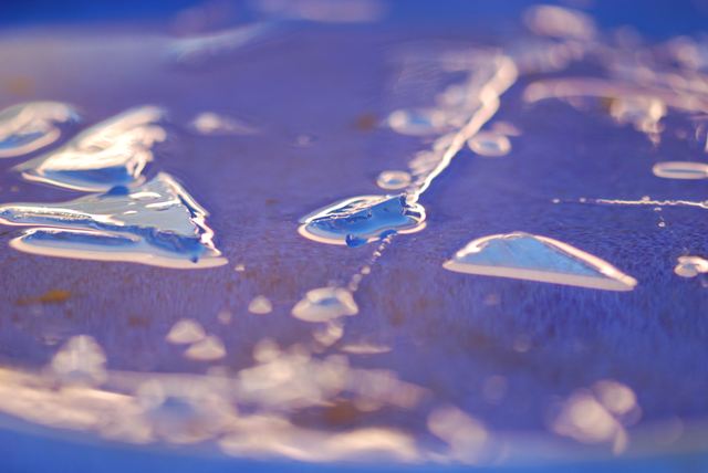 Frozen bird bath.JPG