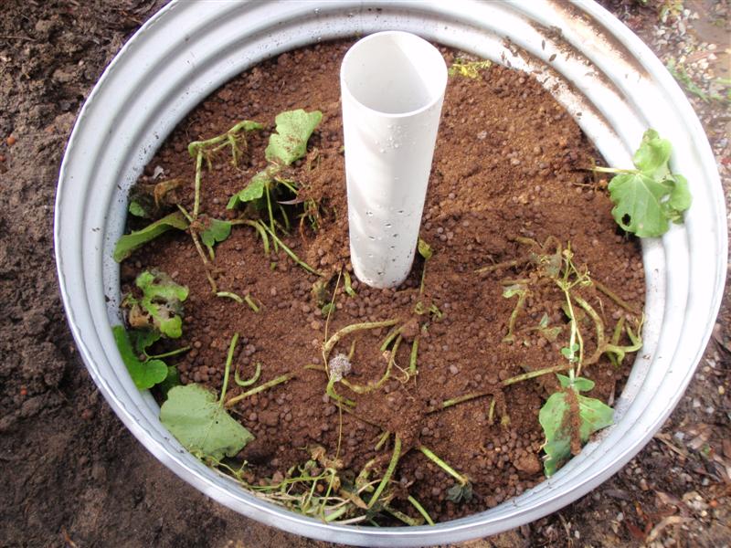 20100710_92 (Medium).JPG