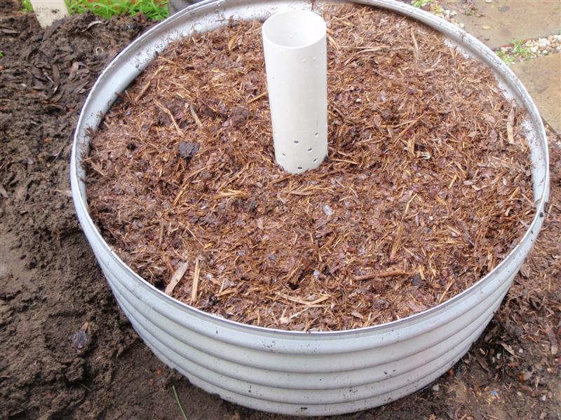 20100710_109 (Medium).JPG