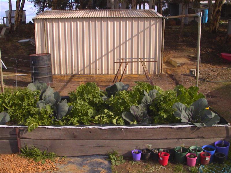 HPNX0437 (Medium).JPG