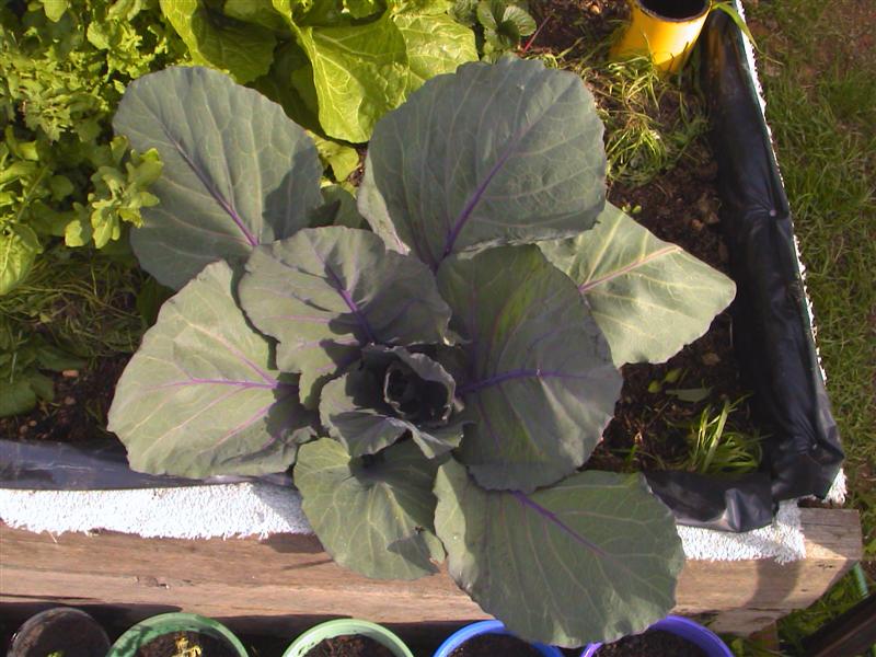 HPNX0436 (Medium).JPG