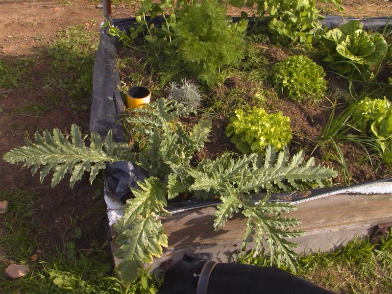 HPNX0438 (Medium).JPG