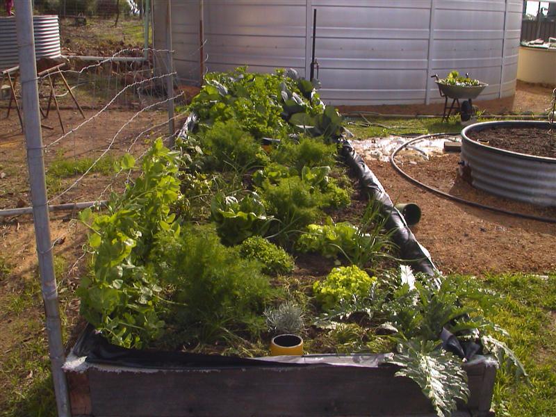 HPNX0440 (Medium).JPG