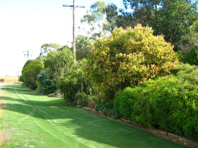 's May 2009 021 (Small).jpg