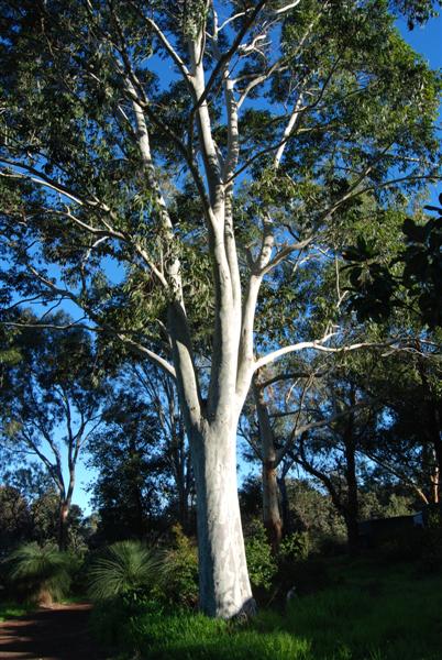 20100725_42 (Medium).JPG