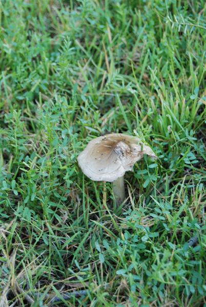 20100725_54 (Medium).JPG