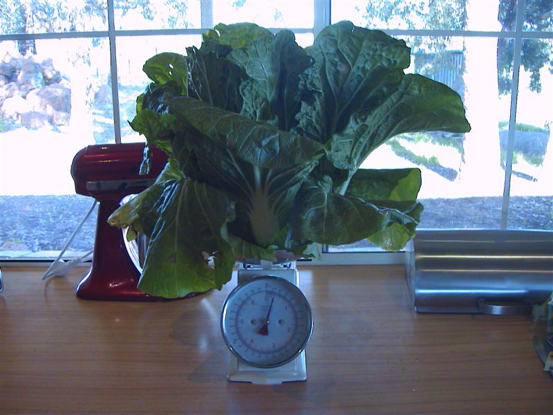 HPNX0473 (Medium).JPG