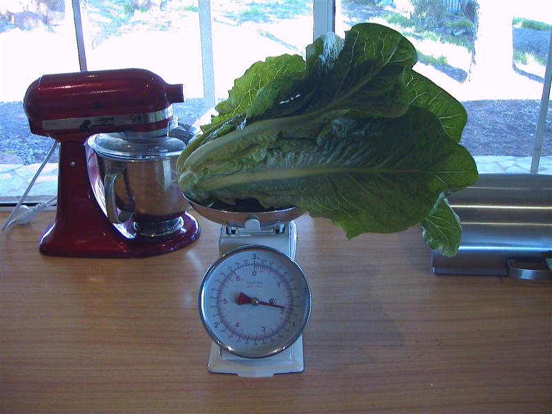 HPNX0475 (Medium).JPG