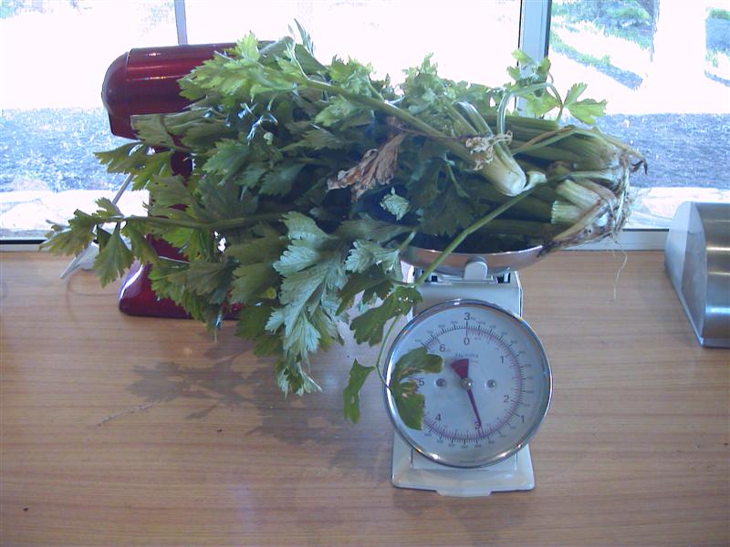 HPNX0477 (Medium).JPG