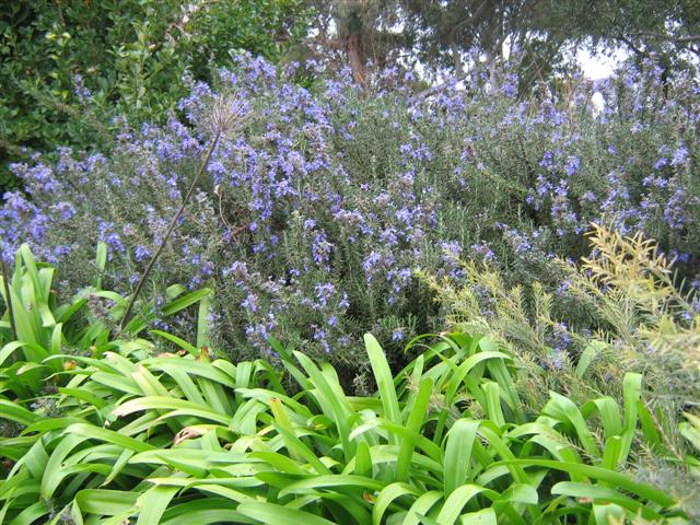 assorted photos 2010 050 (Small).jpg