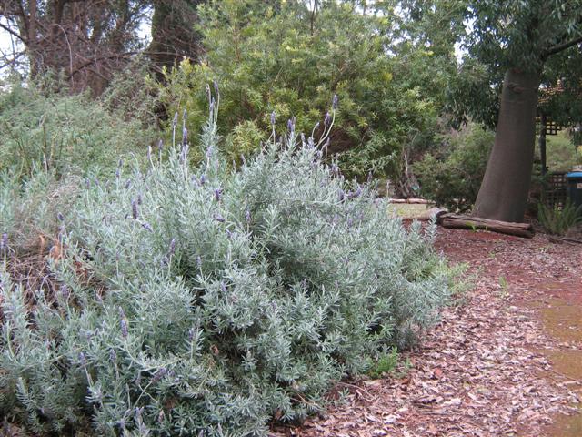 assorted photos 2010 057 (Small).jpg