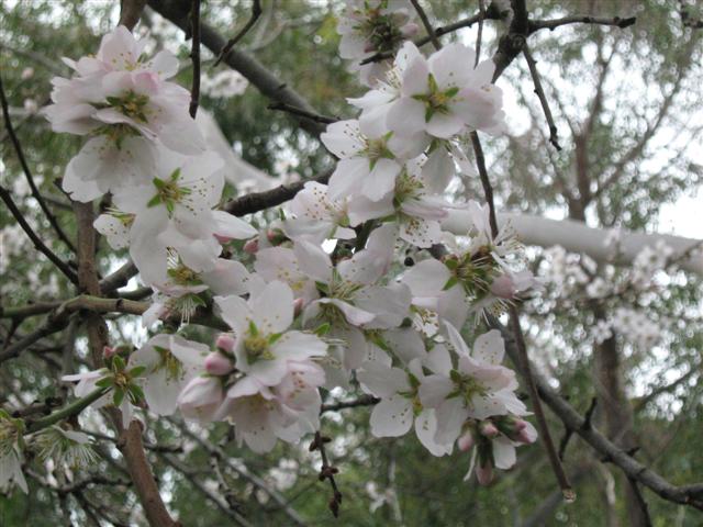 assorted photos 2010 054 (Small).jpg