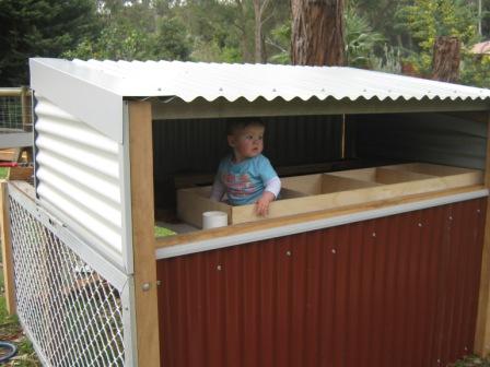 chook tractor 03.JPG