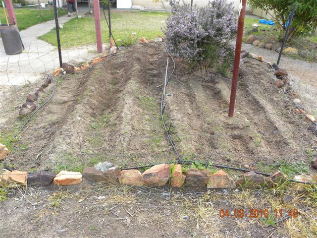 DSCN0399 (Small).jpg