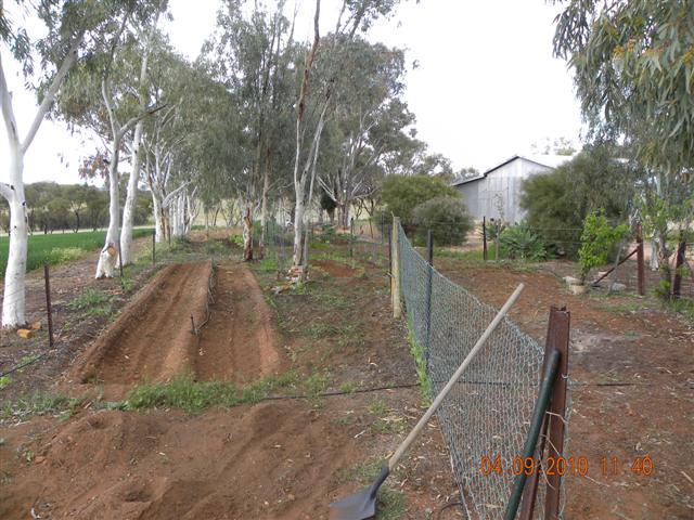 DSCN0391 (Small).jpg