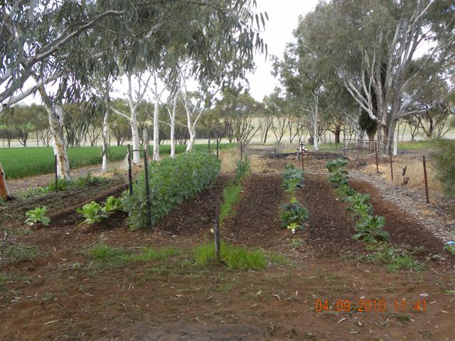 DSCN0392 (Small).jpg