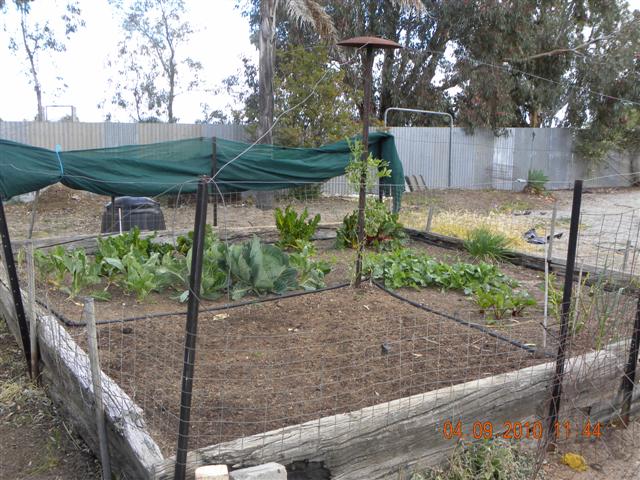 DSCN0396 (Small).jpg