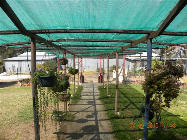 DSCN0402 (Small).jpg