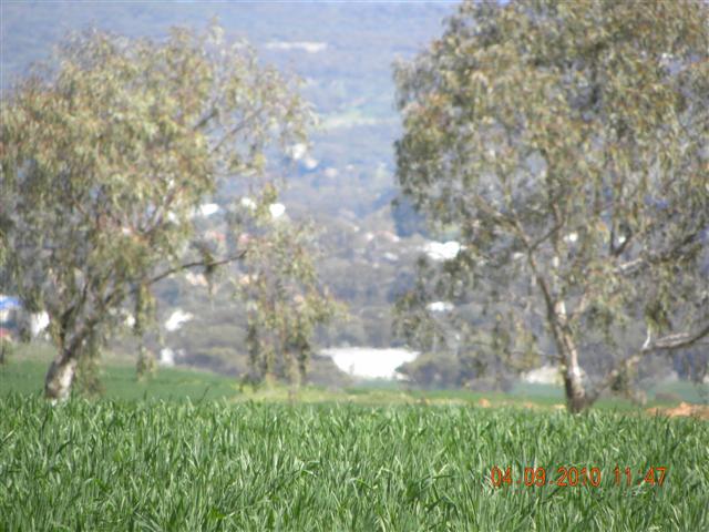 DSCN0401 (Small).jpg